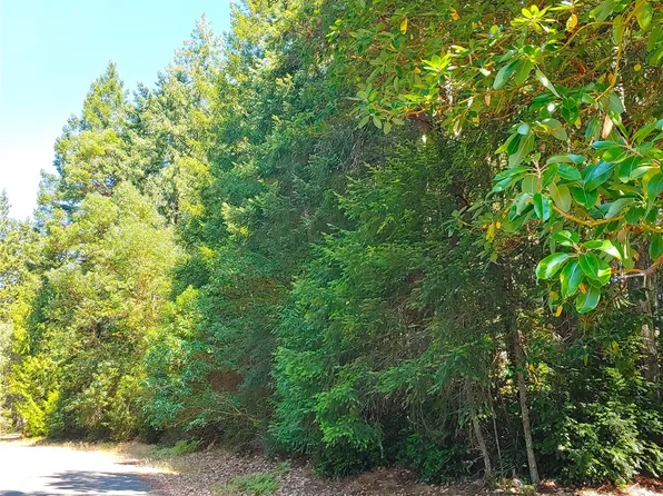 12611 & 12615 & 12619 Silver Drive, Anderson Island, WA 98303