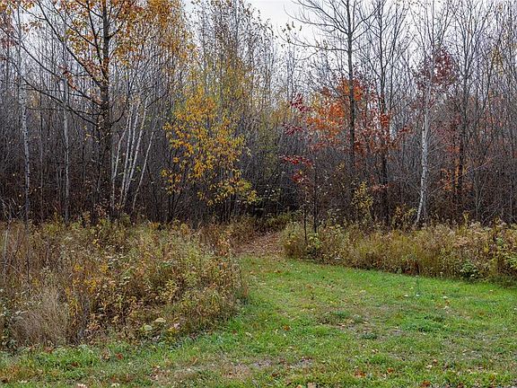 5th image of 78.41 Acres Jew Creek Road