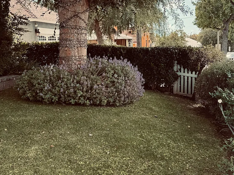 2820 N Buena Vista St — Photo 35
