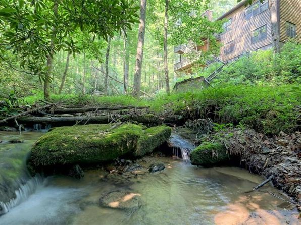 165 Chickasaw Ln, Rabun Gap, GA 30568