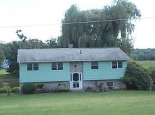 113 Fred Catlin Rd, Owego, NY 13827