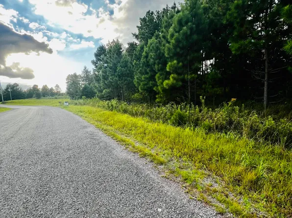 1750 Browns Trace Rd #3, South Pittsburg, TN 37380