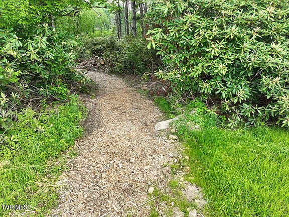 5th image of 1772 Ripshin Mountain Rd