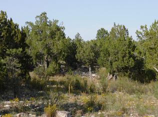 3154 Trail End, Overgaard, AZ 85933