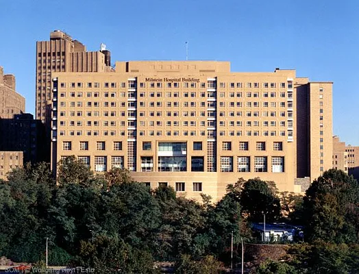 Rented by Executive Towers  | media 27