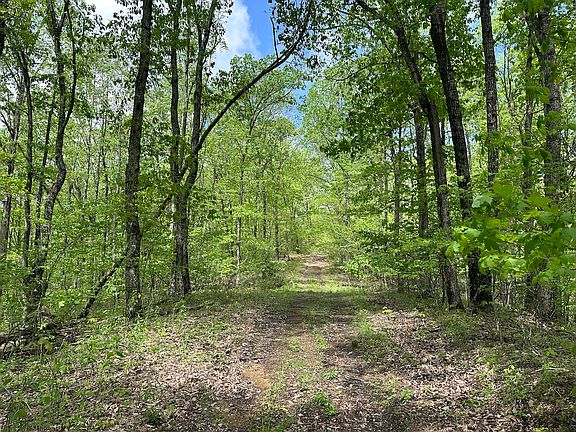 3rd image of 0 Queens Ridge Rd