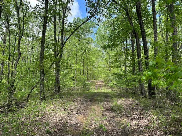0 Queens Ridge Rd, Kiahsville, WV 25534