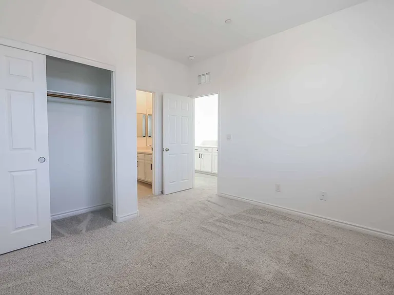 906 Sycamore Falls St — Photo 32