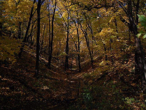 A creek runs to the river
