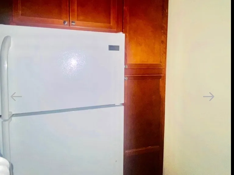 210 Atlantic Ave #C1B — Photo 9