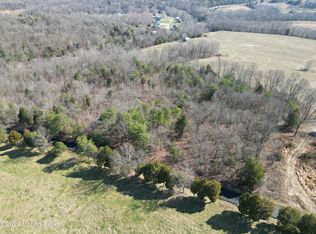 3 Shores Rd, Falls Of Rough, KY 40119