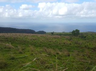 36 488th #1, Laupahoehoe, HI 96764