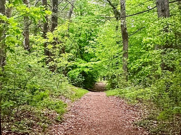 Peaceful meditation walk