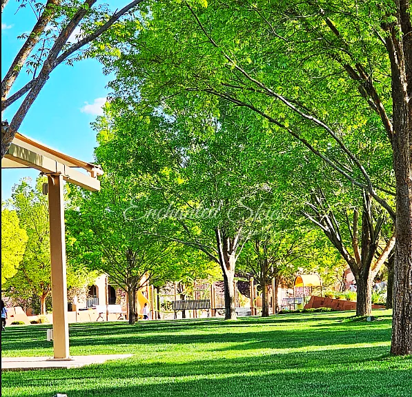 Park