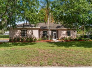 331 Silas Ct, Spring Hill, FL 34609