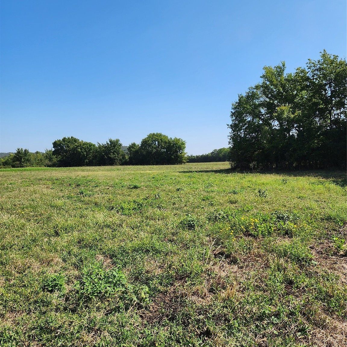 County Rd, Cameron, OK 74932 Zillow