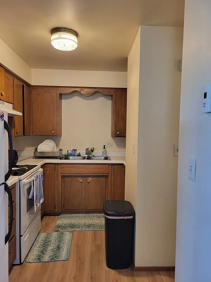 1 bed, 600 sqft, $1,150 — Photo 4