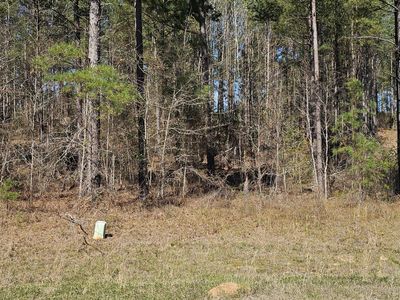 107 LOBLOLLY Lane, Hephzibah, GA, 30815