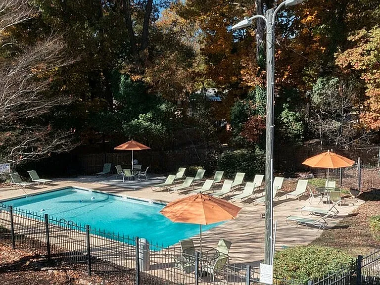Sparkling Swimming Pool