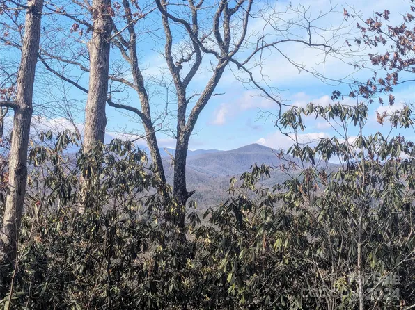 Top Oaks Ln, Pisgah Forest, NC 28768