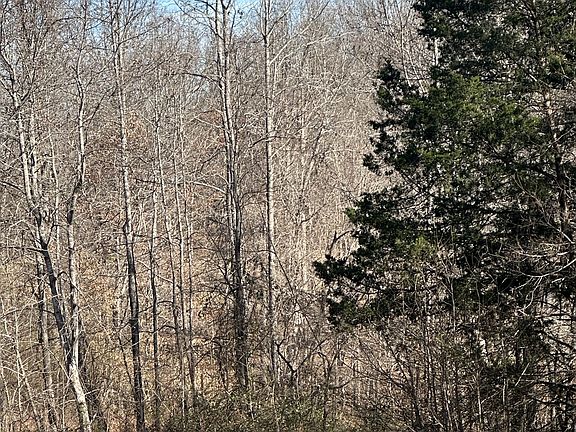 5th image of 0 York Landing Rd