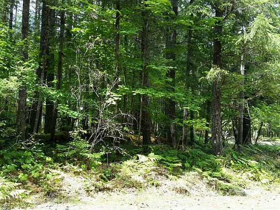 3rd image of 105 Silver Fir Ct