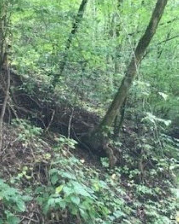 1st image of 0 Wildcat Ridge Rd Lot 28