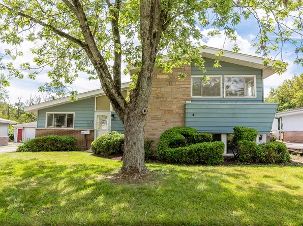 110 Chestnut St, Park Forest, IL 60466