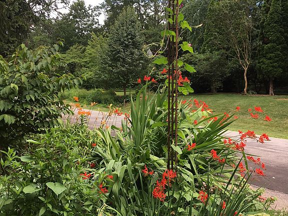 Fabulous gardens, south facing