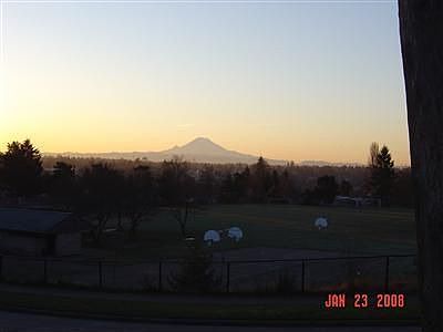 Views of Mt. Ranier