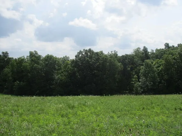 Turner Ridge Rd, Falmouth, KY 41040