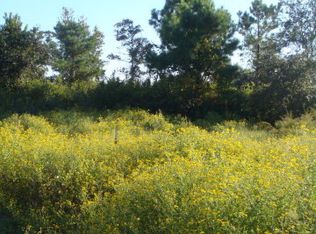 LOT 8 Hammock Watch Way, Hampstead, NC 28443