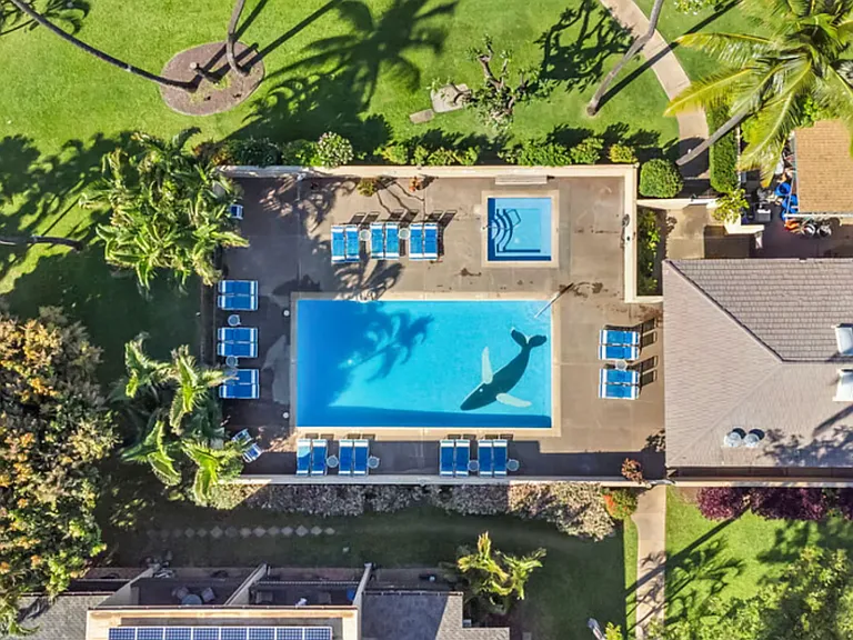 2191 S Kihei Rd #3114 — Photo 19