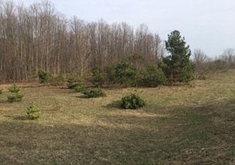 4th image of 2231 Bowerman Road- Vacant Land