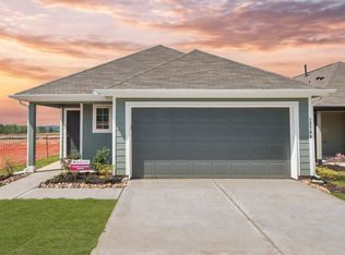 13769 Sunshine Peak Dr, Willis, TX 77318