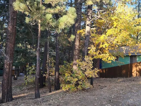 42736 Willow Ave #670, Big Bear Lake, CA 92315