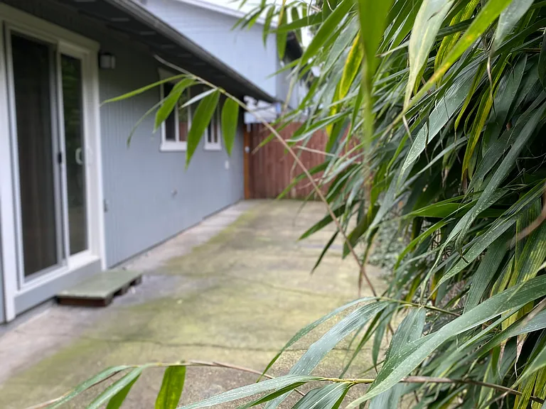 14026 SE Redwood Ave — Photo 13