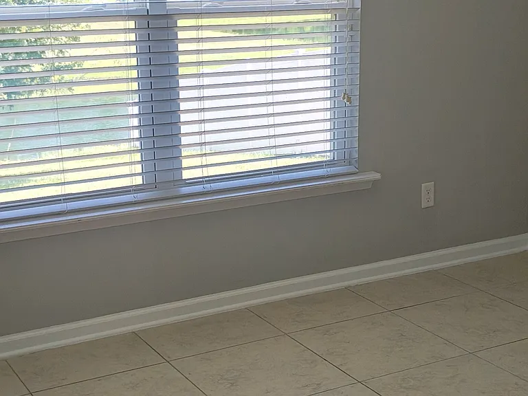 1172 Wetland Ridge Cir — Photo 6