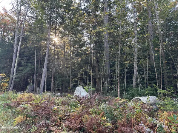 Hopkins Ln, Becket, MA 01223