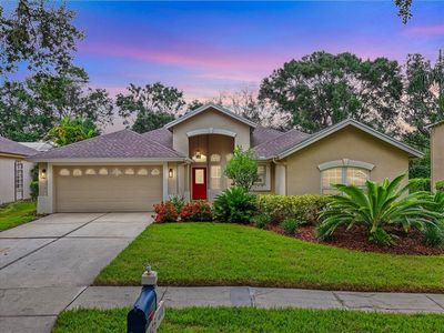3125 Bent Creek Dr, Valrico, FL, 33596