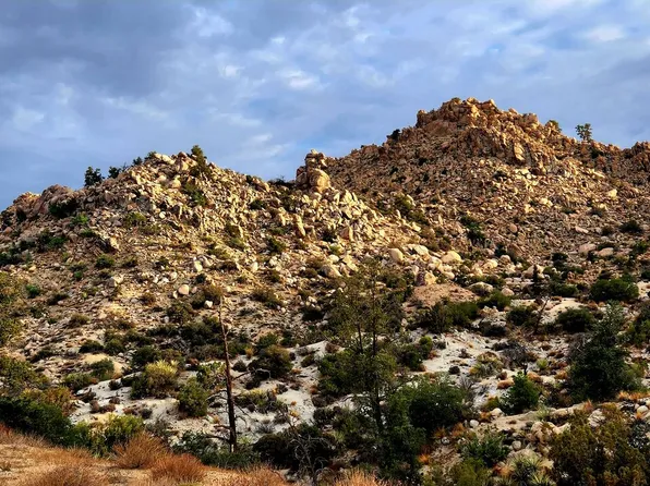 10 W Omega Trl, Yucca Valley, CA 92284