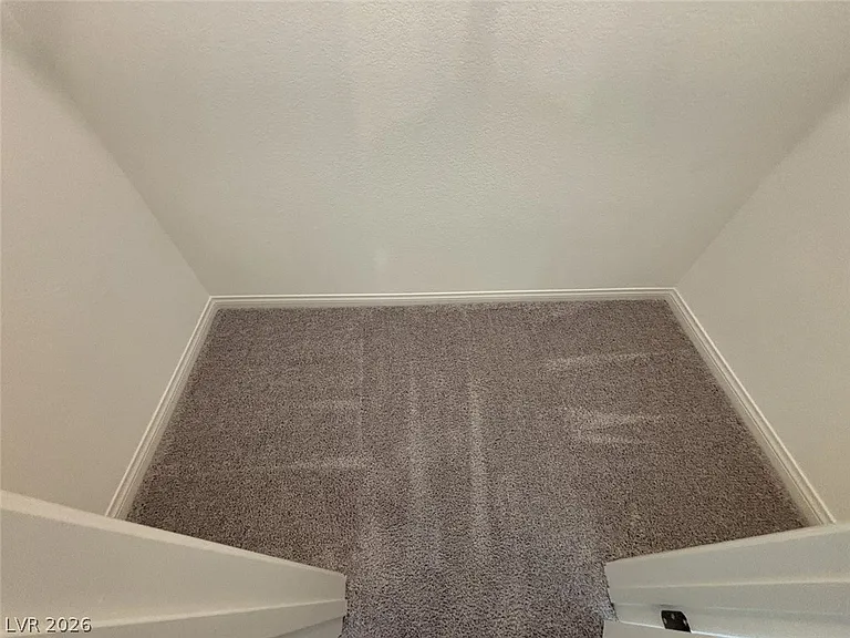 7008 Dandelion Park Ave — Photo 36