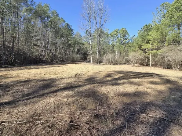 1615 Blanton Rd, Sumiton, AL 35580