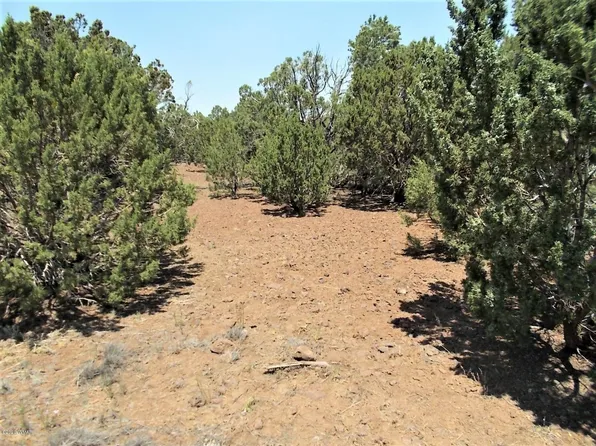 202 County Road 3158, Vernon, AZ 85940