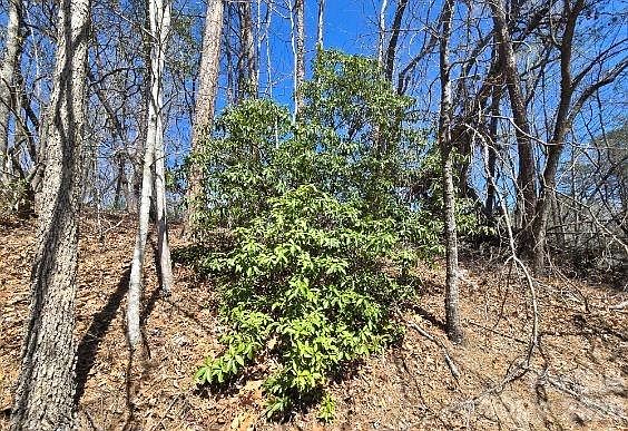 4th image of 284 Oriole Dr