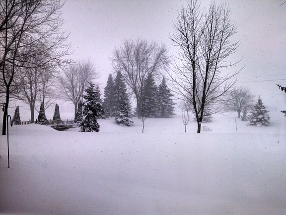 Beautiful view from front