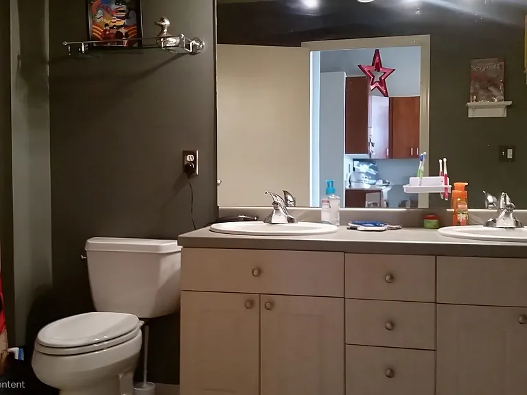 1924 N Hubbard St #210 — Photo 15