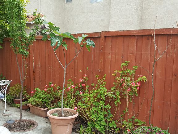 4th image of (Undisclosed Address)