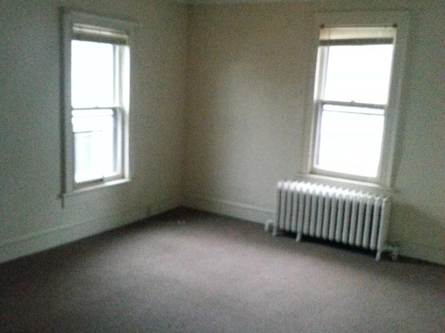 1 bed, 700 sqft, $1,250 — Photo 2