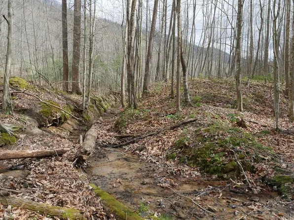 Valley Spring Rd, Rose Hill, VA 24281